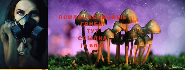 кокаин Бородино