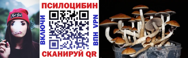 Галлюциногенные грибы Psilocybine cubensis  купить наркотики цена  Нелидово 